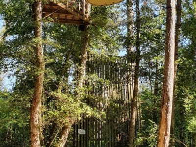 Cabane perchée dans les arbres, offrant une vue imprenable sur la forêt verdoyante.