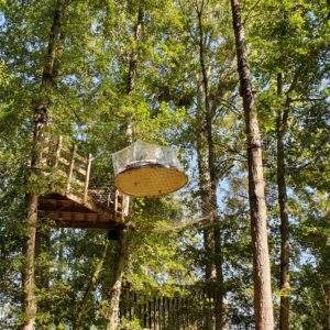 Cabane dans les arbres en Île-de-France, perchée au milieu dune forêt verdoyante.