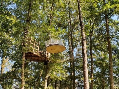 Cabane dans les arbres en Île-de-France, perchée au milieu dune forêt verdoyante.
