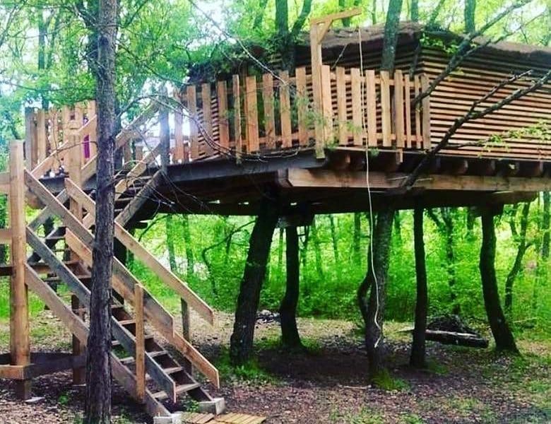 Cabane dans les arbres avec terrasse en bois, entourée de verdure luxuriante.