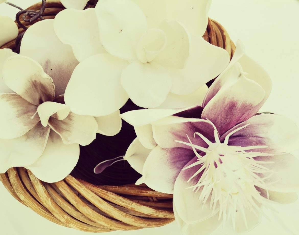 Hébergement insolite en Provence-Alpes-Côte dAzur avec des fleurs blanches élégantes.