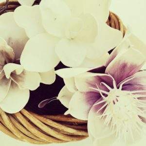 Hébergement insolite en Provence-Alpes-Côte dAzur avec des fleurs blanches élégantes.