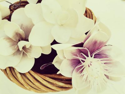 Hébergement insolite en Provence-Alpes-Côte dAzur avec des fleurs blanches élégantes.