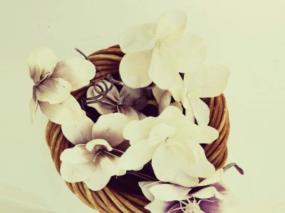 Hébergement insolite en Provence-Alpes-Côte dAzur, décoré de fleurs blanches élégantes.