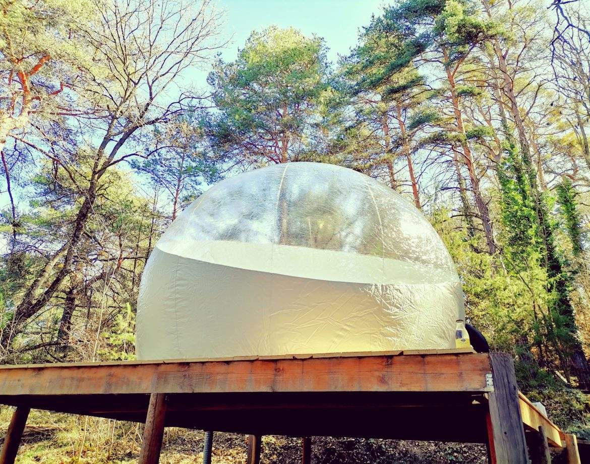 Hébergement insolite : bulle transparente perchée en bois, entourée de verdure.