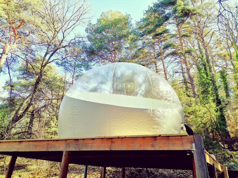 Hébergement insolite : bulle transparente perchée en bois, entourée de verdure.