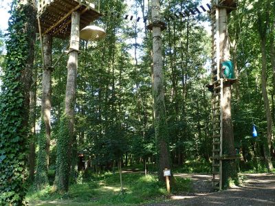 Cabane dans les arbres en Île-de-France, perchée entre les feuillages verdoyants.