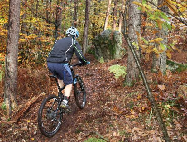 vtt fontainebleau