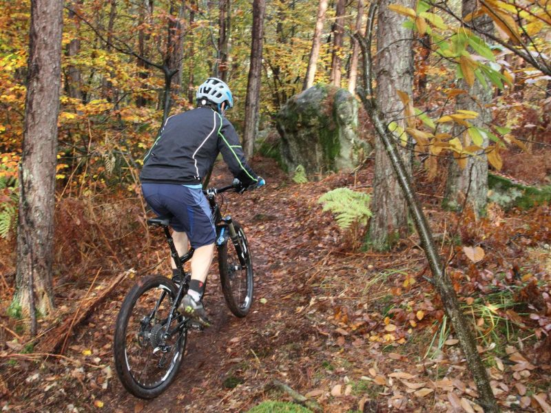 Hébergement en pleine nature, idéal pour les amateurs de VTT sur sentiers forestiers.