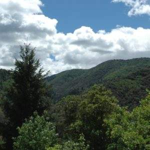 Hébergement insolite en bulle, avec vue panoramique sur les collines verdoyantes.
