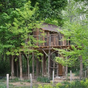 Cabane perchée en bois, entourée de verdure luxuriante en Nouvelle-Aquitaine.