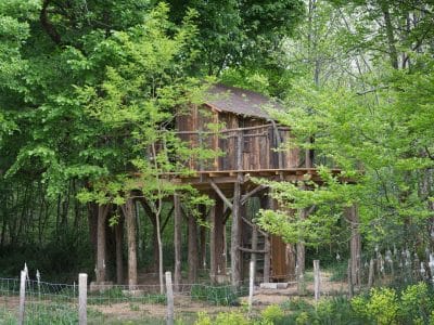 Cabane perchée en bois, entourée de verdure luxuriante en Nouvelle-Aquitaine.
