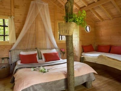 Cabane en bois cosy avec lit double, décorée de fleurs et dune ambiance chaleureuse.