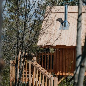Cabane en bois perchée, entourée darbres, avec un toit en pente et cheminée.