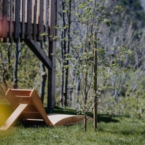 Hébergement insolite en cabane sur pilotis, avec chaises longues et verdure environnante.