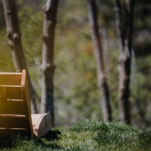 Hébergement insolite en bois avec vue sur la nature verdoyante en Provence-Alpes-Côte dAzur.