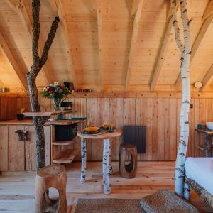 Cabane en bois chaleureuse avec des meubles en troncs darbres et une vue apaisante.