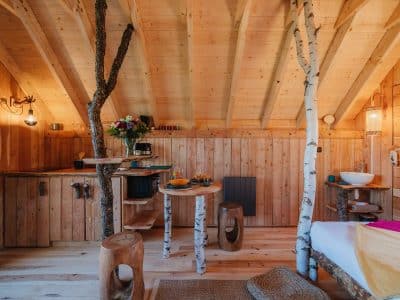 Cabane en bois chaleureuse avec des meubles en troncs darbres et une vue apaisante.