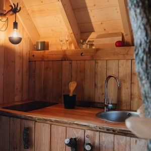 Cabane en bois chaleureuse avec cuisine équipée et décor naturel.