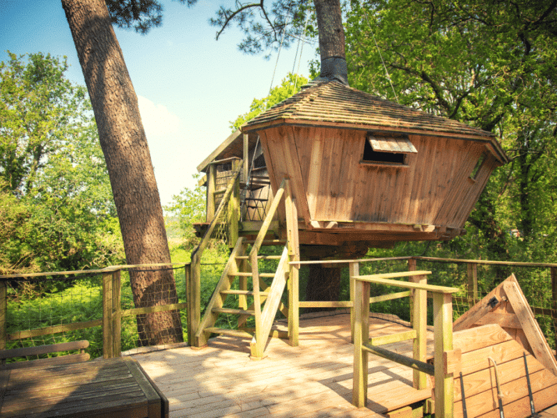 Cabane perchée en bois dans les arbres, entourée de verdure en Bretagne.