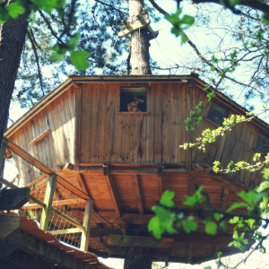 Cabane perchée en bois dans les arbres, entourée de feuillage verdoyant.