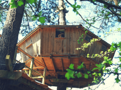Cabane perchée en bois dans les arbres, entourée de feuillage verdoyant.
