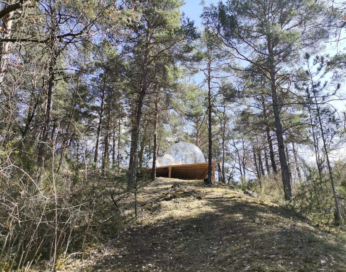 Hébergement insolite en bulle transparente, niché parmi les pins en Provence-Alpes-Côte dAzur.