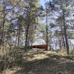 Hébergement insolite en bulle transparente, niché parmi les pins en Provence-Alpes-Côte dAzur.