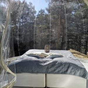 Hébergement insolite en bulle transparente, offrant une vue sur la forêt.