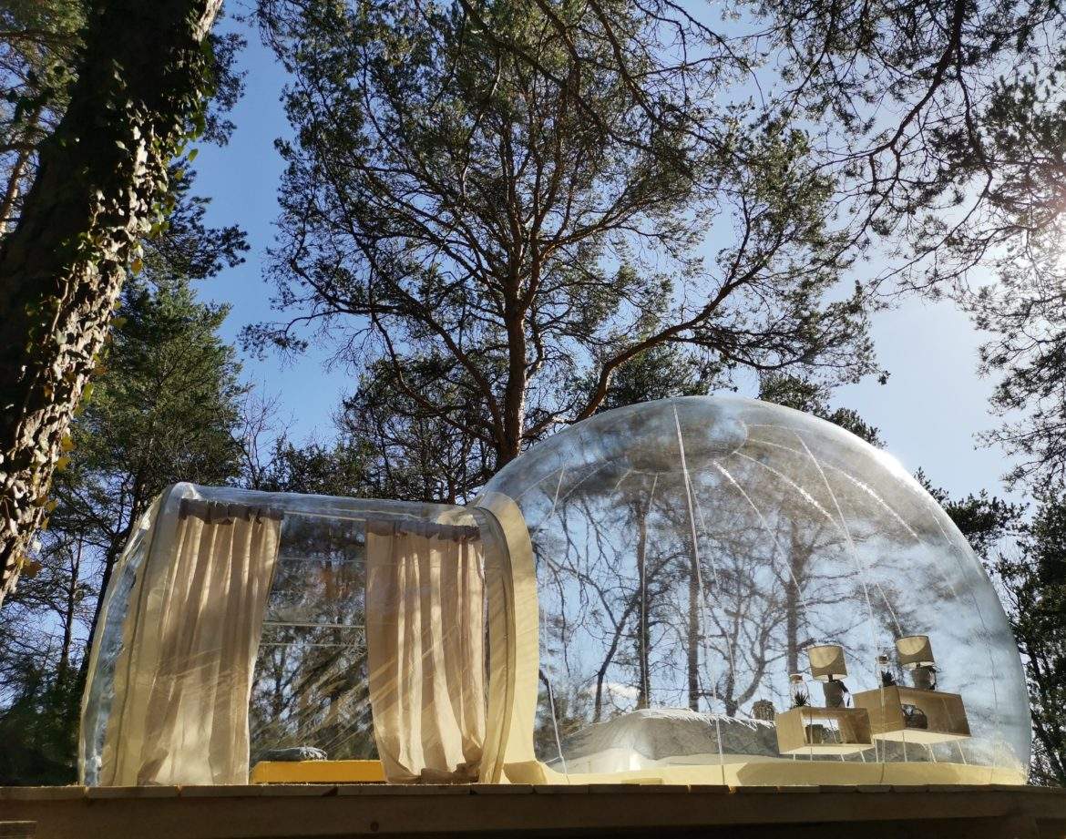 Bulle transparente en pleine nature, offrant une vue imprenable sur les arbres.