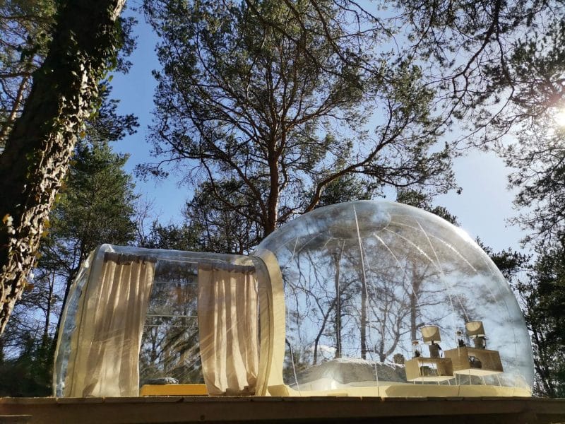 Bulle transparente en pleine nature, offrant une vue imprenable sur les arbres.