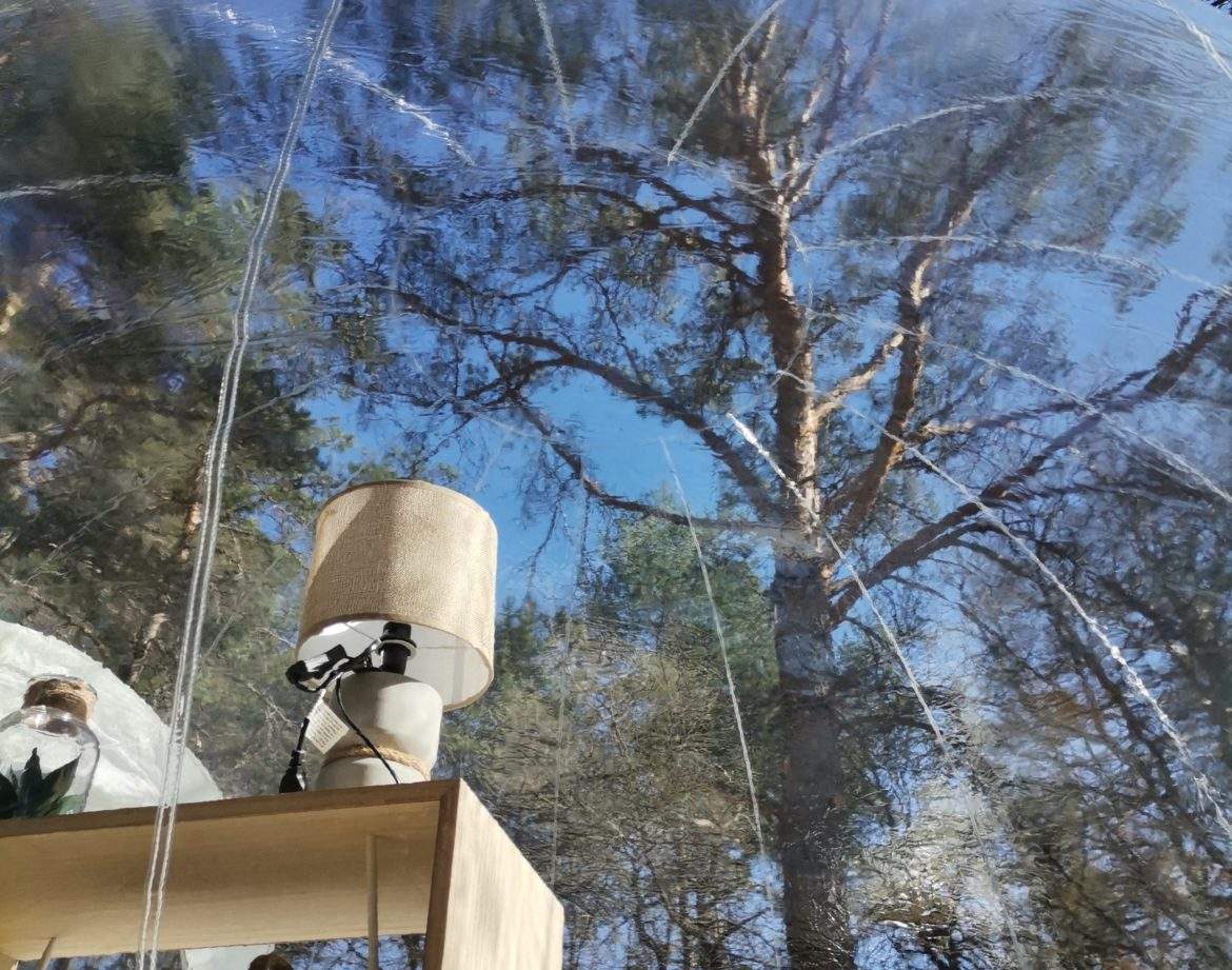 Hébergement bulle transparent en pleine nature, vue sur les arbres et ciel bleu.