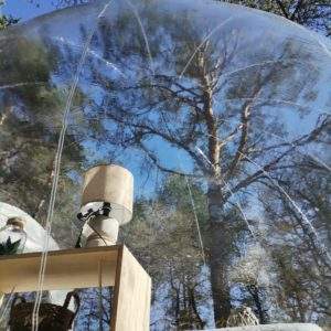 Hébergement bulle transparent en pleine nature, vue sur les arbres et ciel bleu.