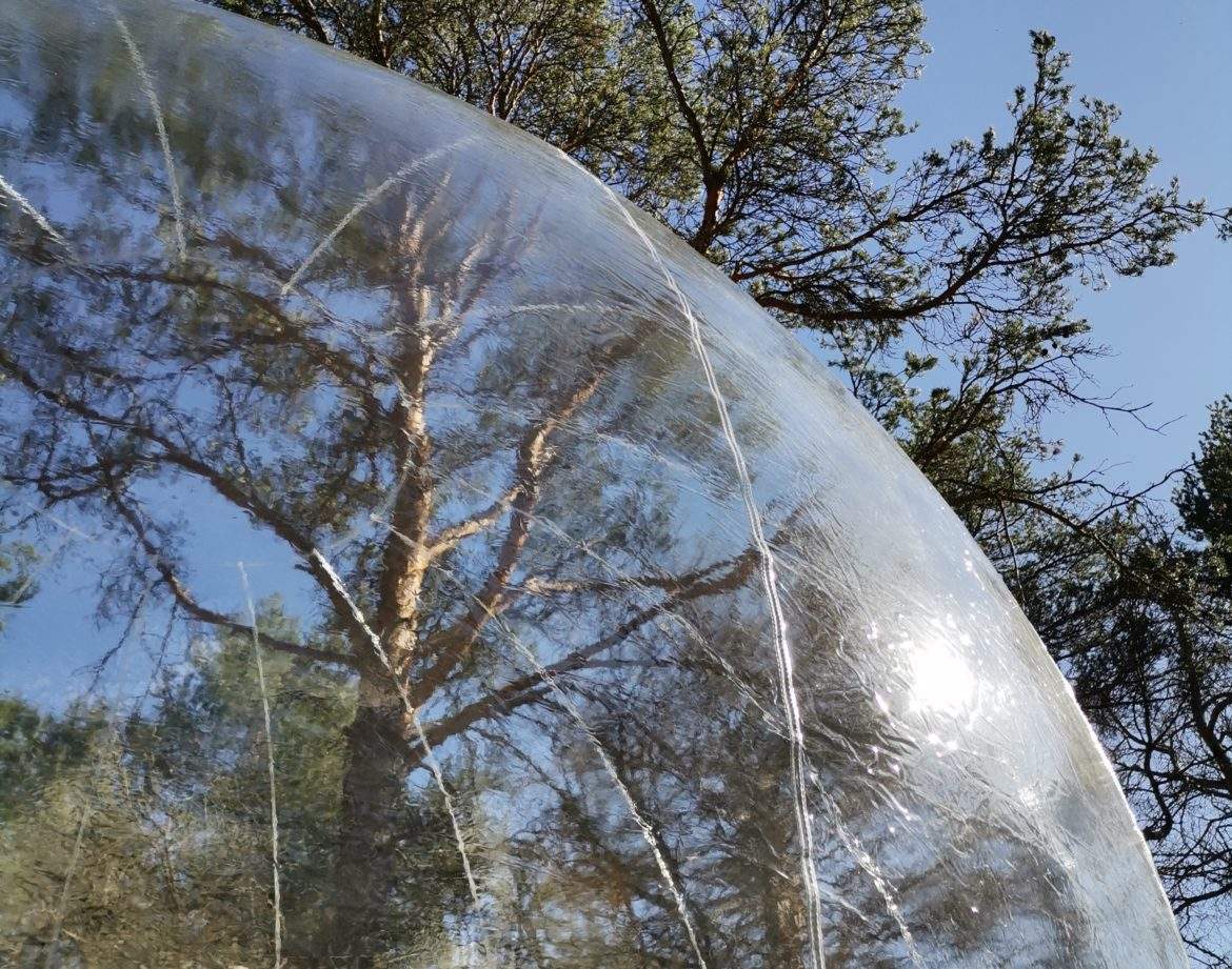 Bulle transparente en pleine nature, offrant une vue imprenable sur les arbres.