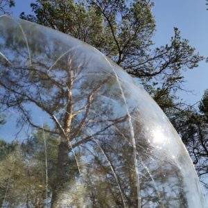 Bulle transparente en pleine nature, offrant une vue imprenable sur les arbres.