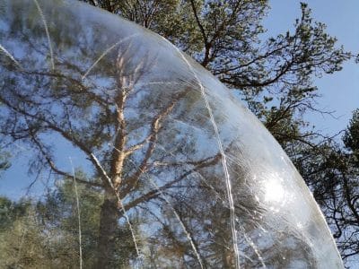 Bulle transparente en pleine nature, offrant une vue imprenable sur les arbres.
