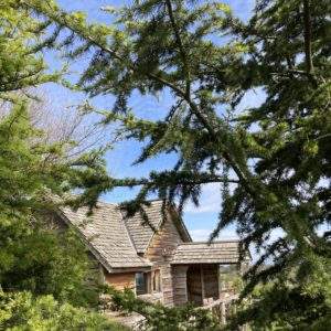 Cabane en bois nichée parmi les arbres, avec un ciel bleu en arrière-plan.