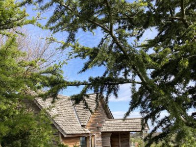 Cabane en bois nichée parmi les arbres, avec un ciel bleu en arrière-plan.