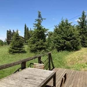 Hébergement insolite en pleine nature, avec une terrasse en bois et des arbres verdoyants.