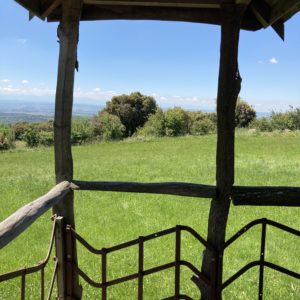 Cabane perchée avec vue panoramique sur un vaste champ verdoyant.