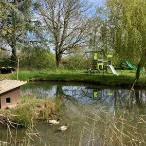 Hébergement insolite en Languedoc-Roussillon, avec un étang et des canards paisibles.