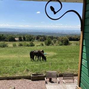 Cabane perchée avec vue sur des chevaux dans un paysage verdoyant du Languedoc-Roussillon.