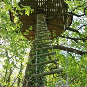 Cabane dans les arbres en Bretagne, perchée au sommet dun grand chêne verdoyant.