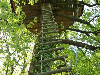 Cabane dans les arbres en Bretagne, perchée au sommet dun grand chêne verdoyant.