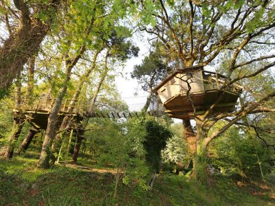Cabane perchée dans les arbres en Bretagne, entourée de verdure luxuriante.