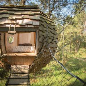 Cabane en bois ronde suspendue, entourée de verdure en Bretagne.