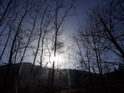 Hébergement insolite en Auvergne-Rhône-Alpes, avec vue sur le soleil filtrant à travers les arbres.