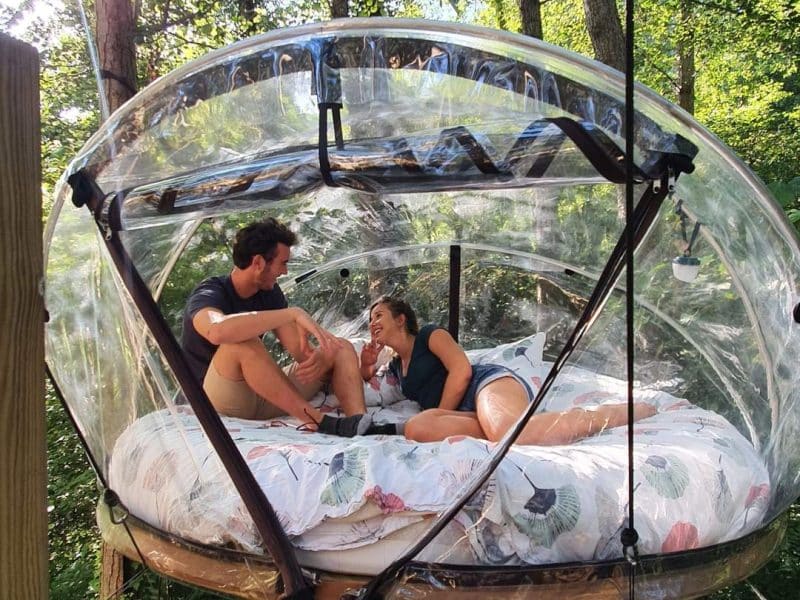Hébergement insolite en bulle transparente, suspendu dans les arbres, entouré de verdure.