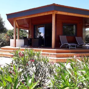 Cabane en bois à Languedoc-Roussillon, entourée de verdure et de fleurs colorées.