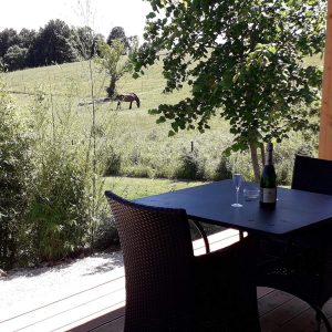 Hébergement insolite en Languedoc-Roussillon, terrasse avec vue sur un cheval.